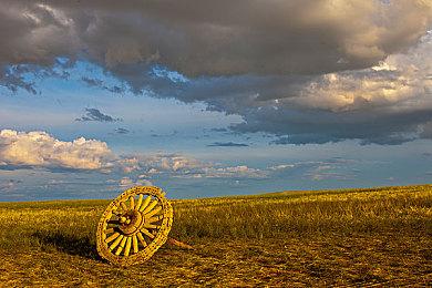 Switch2七月游戏盘点：《咚奇刚》领衔多款新作登场